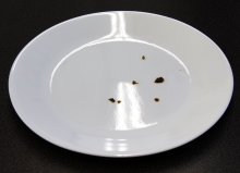GE Artistry ADT521PGFWS—Meat After Heavy Wash