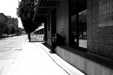 SIGMA-50MM-NIKON-SAMPLES-FULL-6.jpg