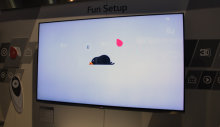sleeping-penguin.jpg