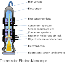 Transmission Electron Microscope