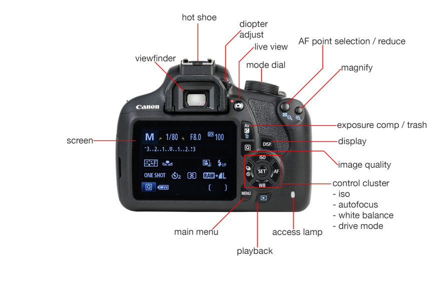 Canon-T5-Review-Tour-back.jpg