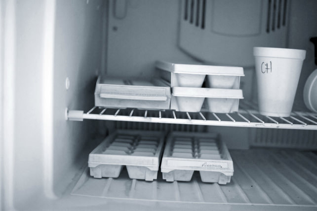 Ice Trays