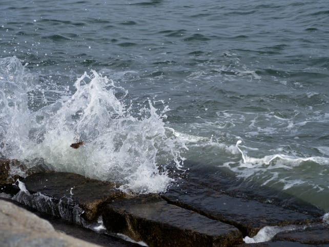 Sigma-Art-60mm-F2_8-DN-wave_full.jpg
