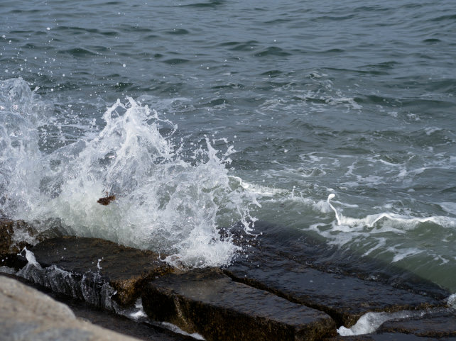 Sigma-Art-60mm-F2_8-DN-wave_full.jpg