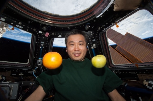 iss039e008095.jpg