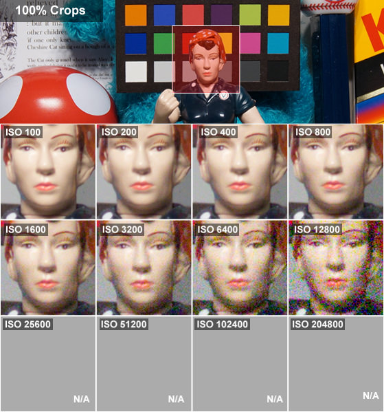 DCI-ROSIE-CROPS.jpg