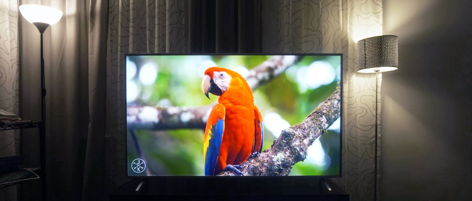Vizio-P-Body
