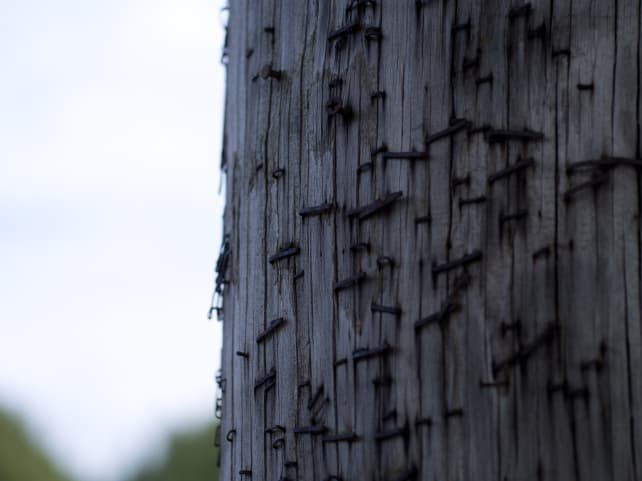 Sigma-Art-60mm-F2_8-DN-staples_full.jpg