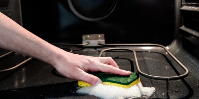 Sponge in the Oven