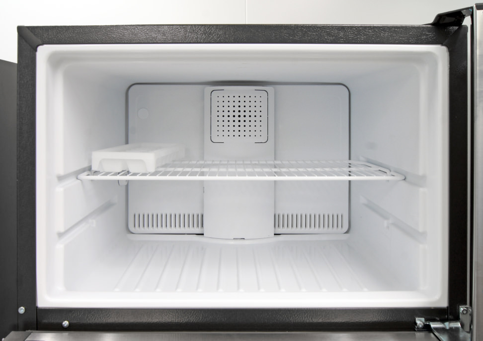 GE GTE16GSHSS Freezer