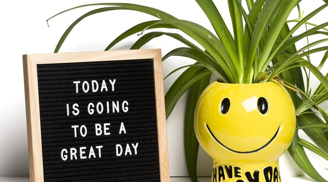 ReadyWerks Felt Letter Board