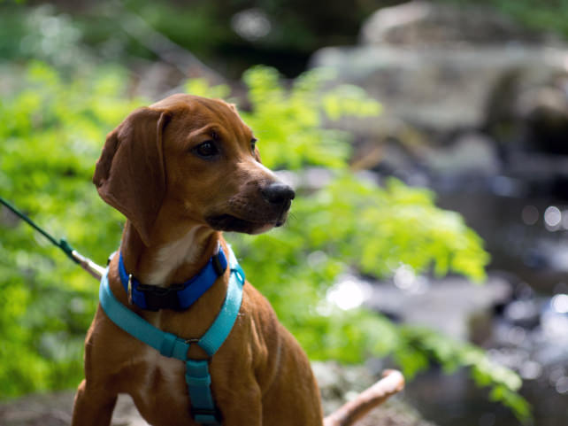 Sigma-Art-60mm-F2_8-DN-cassie_full.jpg