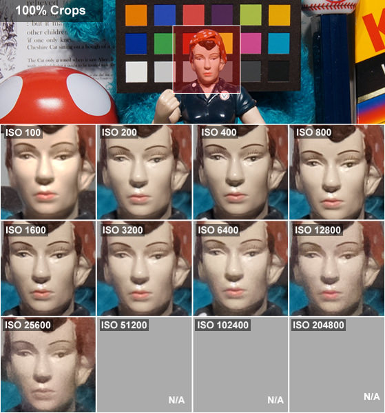 DCI-ROSIE-CROPS-WIP.jpg