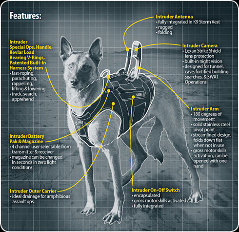 K9 Intruder-Manufacturer.jpg