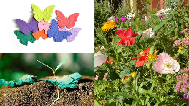 Bloomin Seed Paper Butterfly