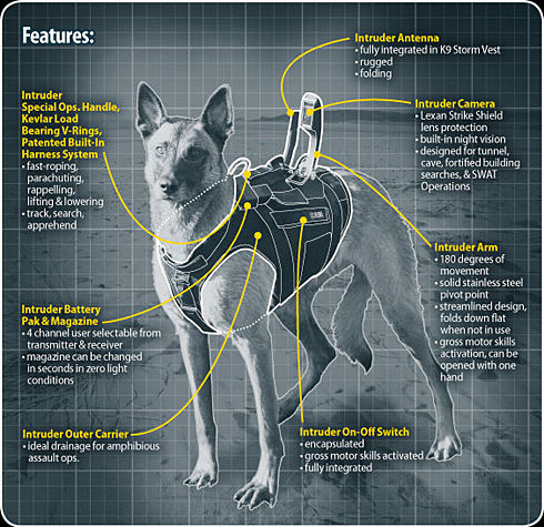 K9 Intruder-Manufacturer.jpg
