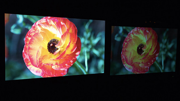 Dolby-monitor.jpg