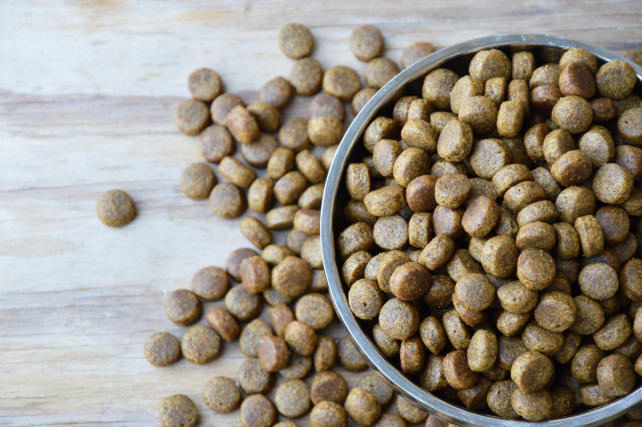 Dog food