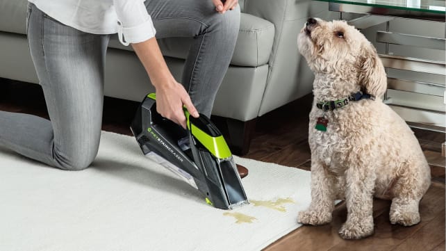 Bissell Pet Stain Eraser Cordless Portable Carpet Cleaner