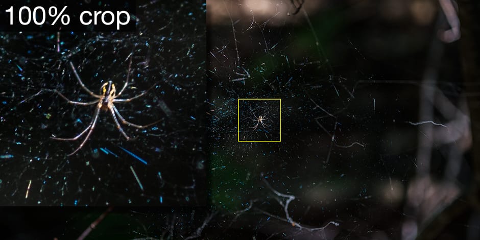 Spider crop (manual focus)