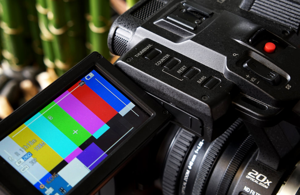 HC-X1000 - Handheld Controls