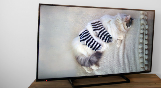 Panasonic-TC-50AS530U-front.jpg