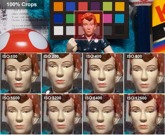 rosie-crops-leica-t.jpg