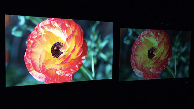 Dolby-monitor.jpg