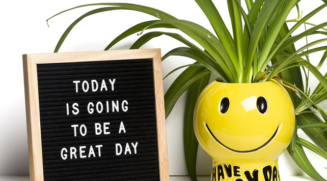 ReadyWerks Felt Letter Board