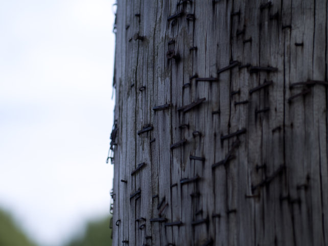 Sigma-Art-60mm-F2_8-DN-staples_full.jpg