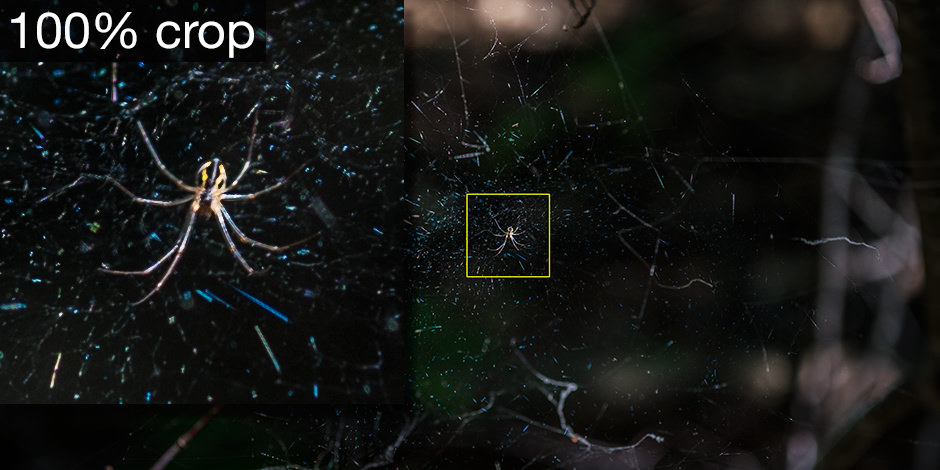 Spider crop (manual focus)