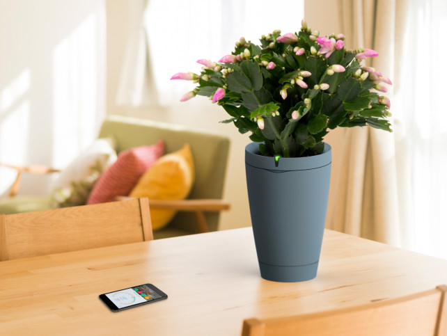 Parrot Smart Pot