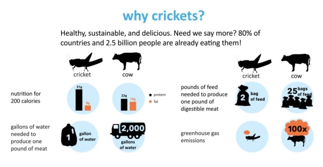 six-foods-chirps-why-crickets.jpg