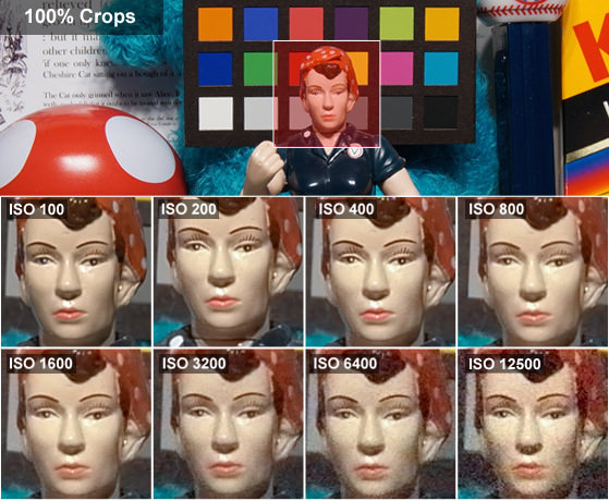 rosie-crops-leica-t.jpg