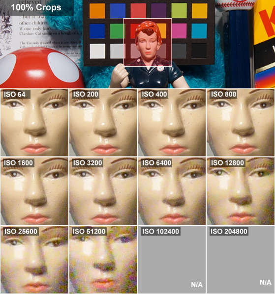 DCI-ROSIE-CROPS.png