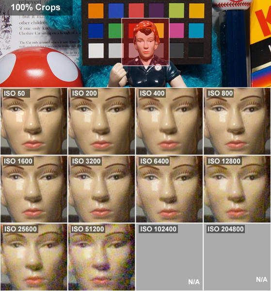 nikon-d750-review-science-rosie.jpg