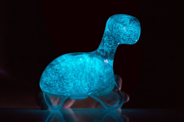 Dino Pet