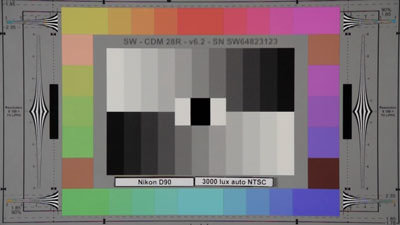 Nikon_D90_3000lux_auto_NTSC_web.jpg