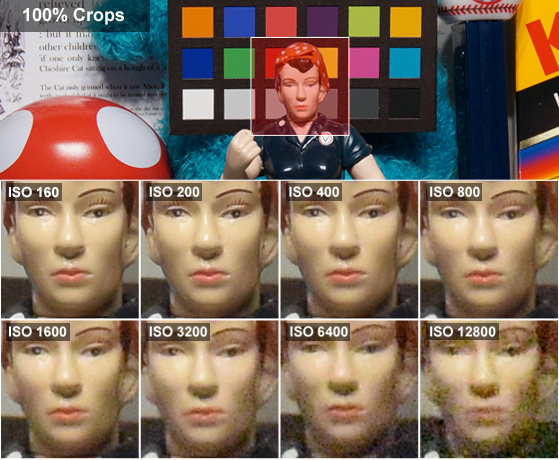 DCI-ROSIE-CROPS.jpg