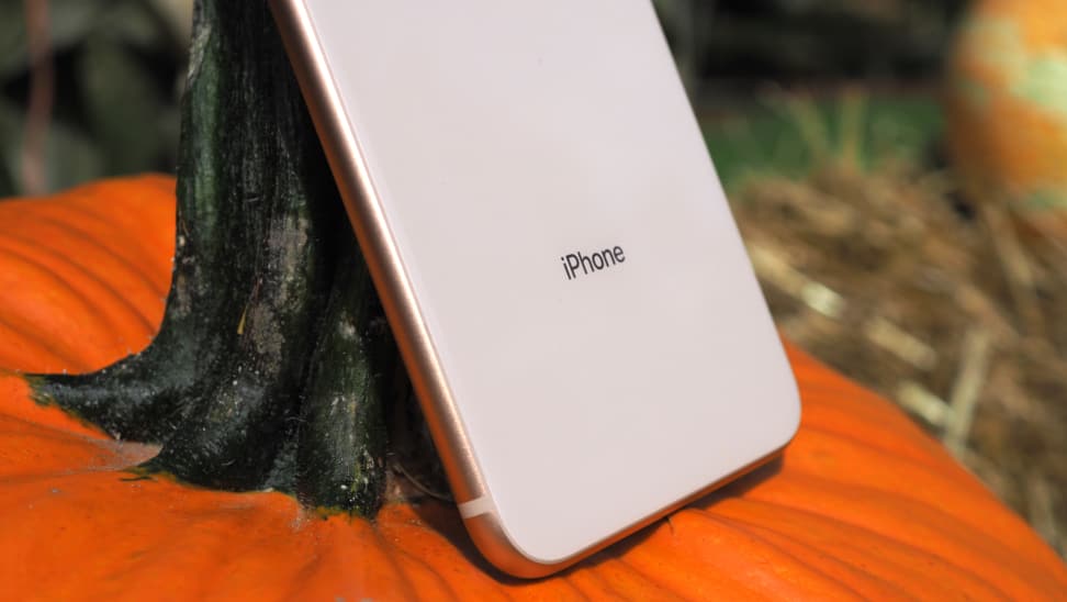 iPhone 8 Plus Back