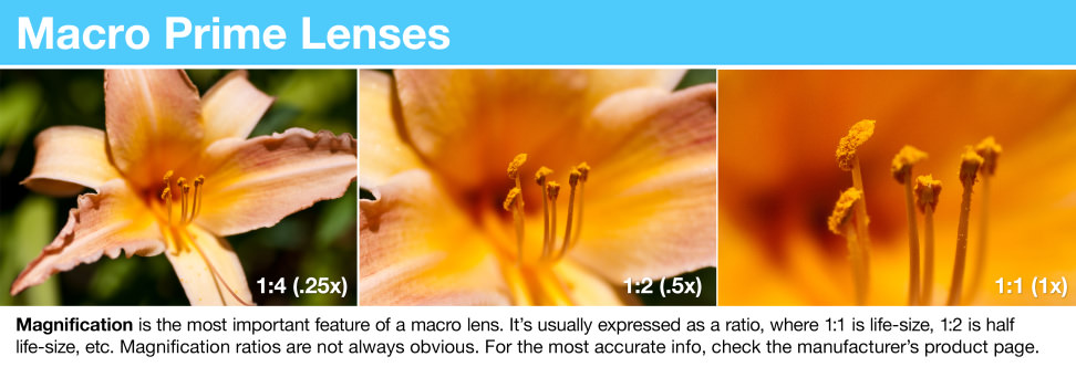 Macro Prime Lenses